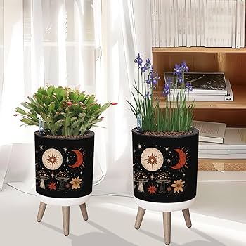 鉢・プランター A BATHING APE x NEIGHBORHOOD Plant Pot Amazon.com : 8.7